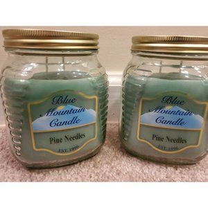 Pine Needle Christmas Candle | Blue Mountain | Double Wick 24 oz Large (2 Pack)